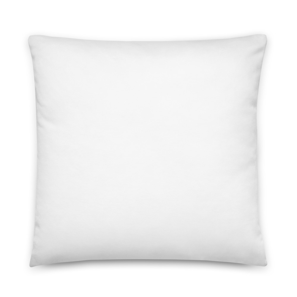 all-over-print-basic-pillow-22x22-5fe25a3495970.jpg